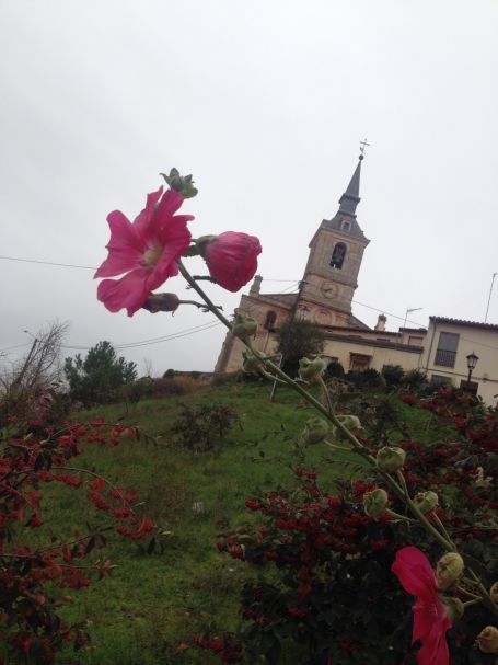 Ex-colegiata de San Pedro de Lerma, centro espiritual del Duque de Lerma, Burgos