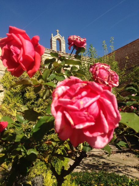 Ex-colegiata de San Pedro de Lerma, detalle flor, Burgos